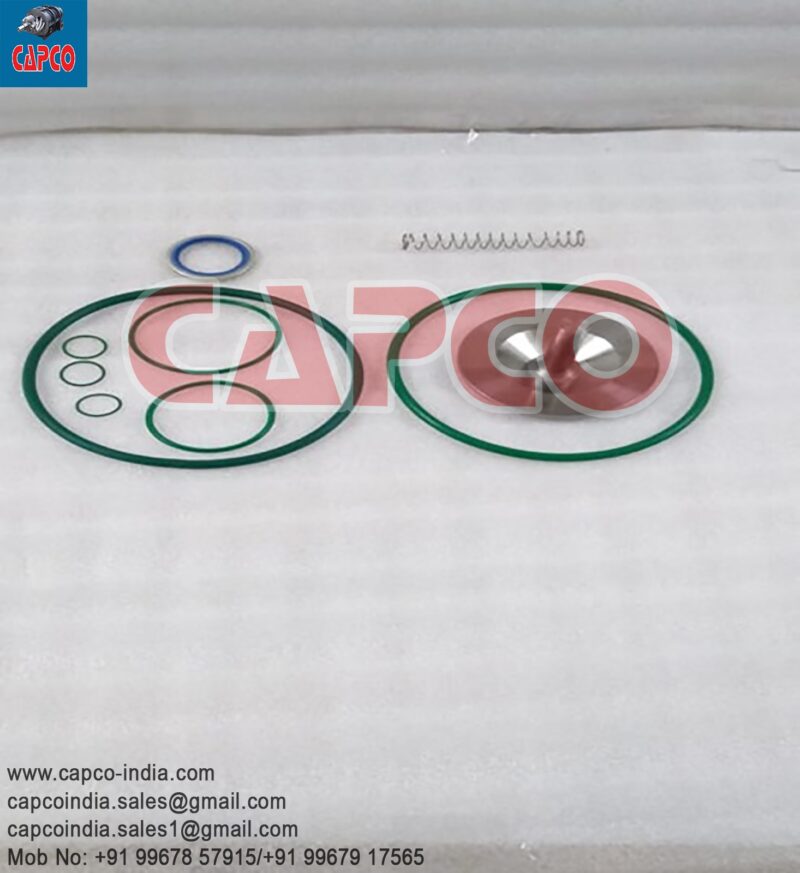 CHECK VALVE KIT - 2906069300