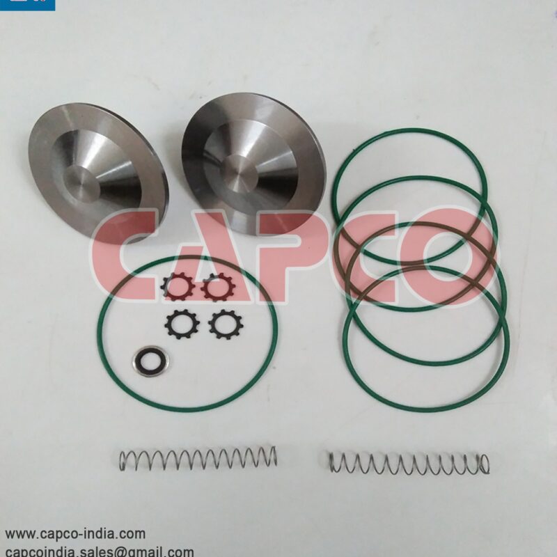 CHECK VALVE KIT - 2906002100