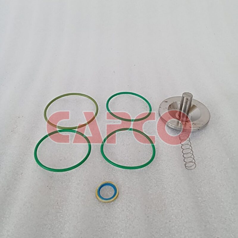 CHECK VALVE KIT - 2901050300