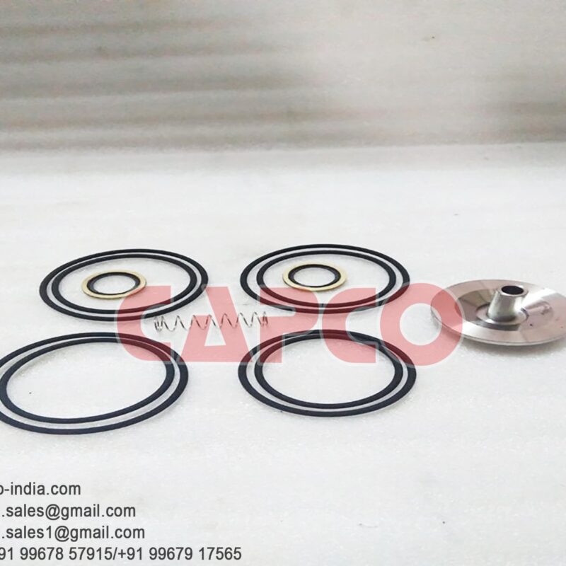 CHECK VALVE KIT - 2901006300