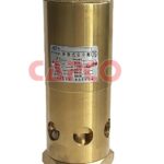 SAFETY VALVE