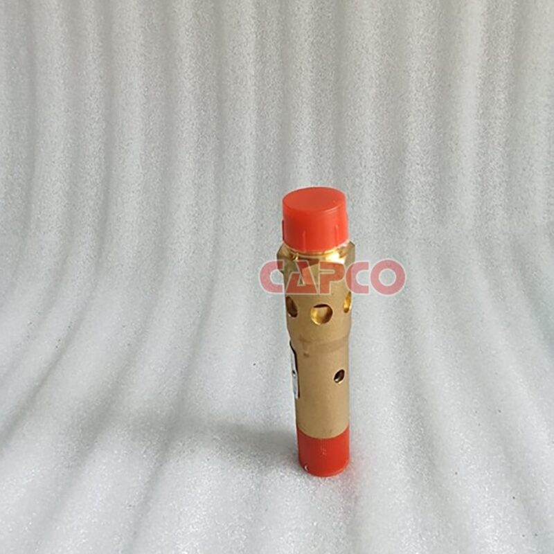 SAFETY VALVE - 1625166467