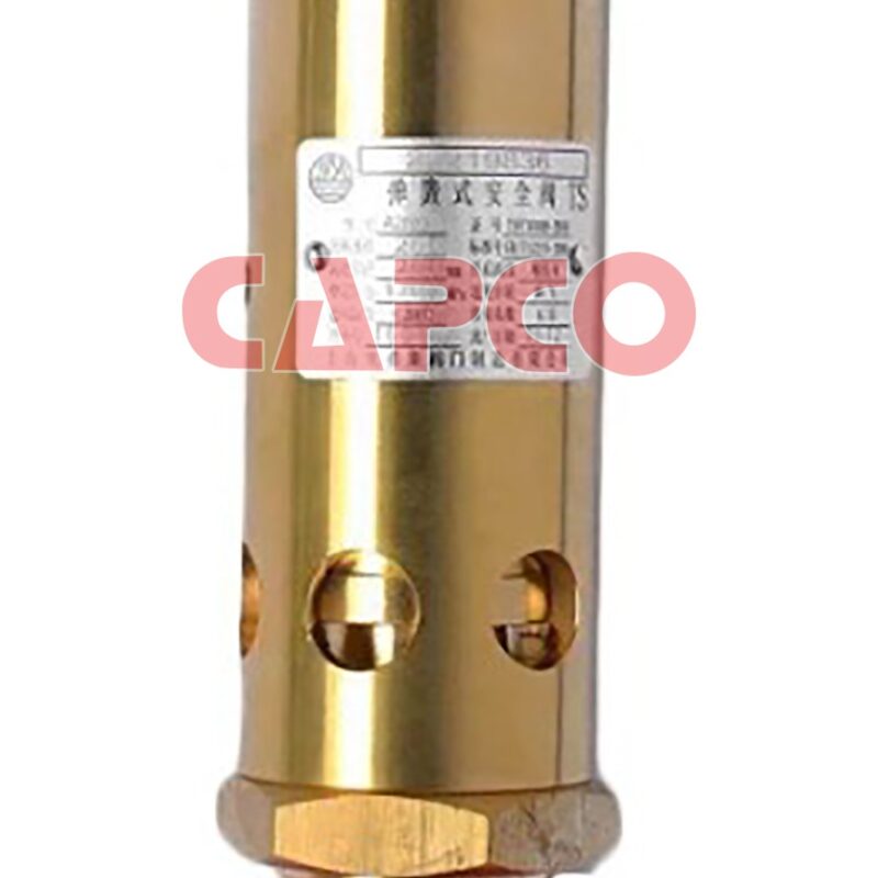 SAFETY VALVE - 1092001961