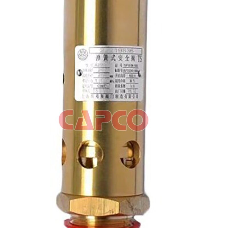 SAFETY VALVE - 0830100998