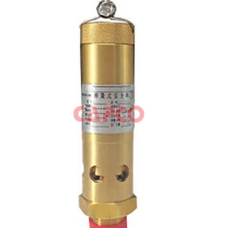 SAFETY VALVE - 0830100811