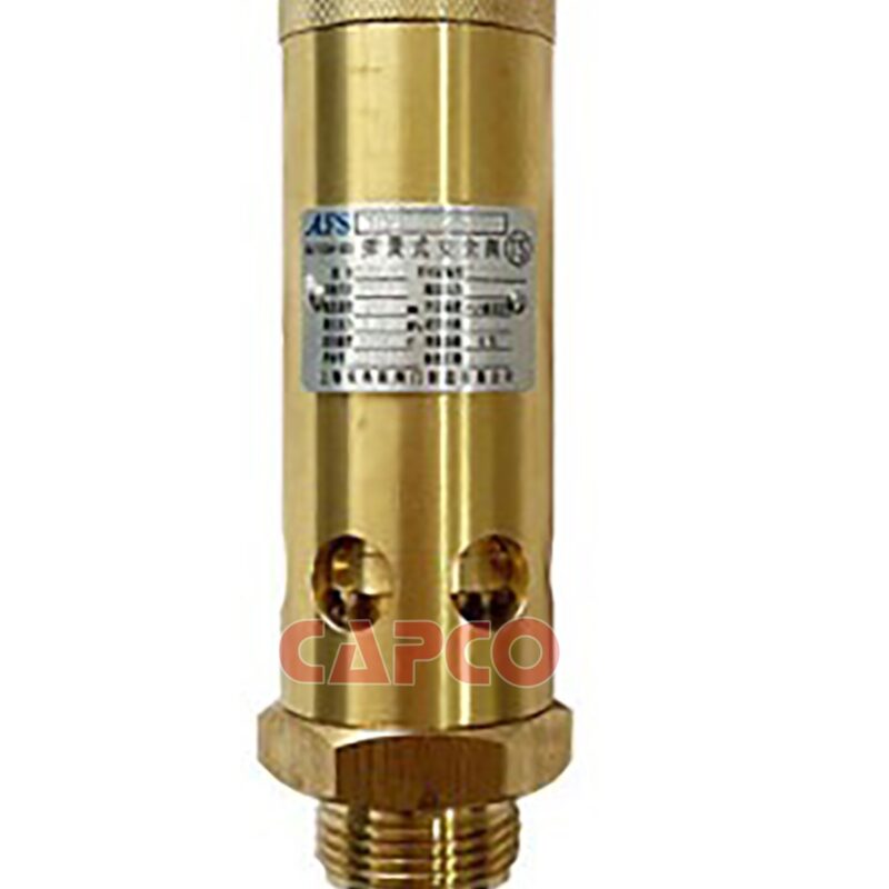 SAFETY VALVE - 0830100918