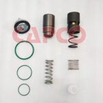 MPV THERMOSTAT VALVE KIT