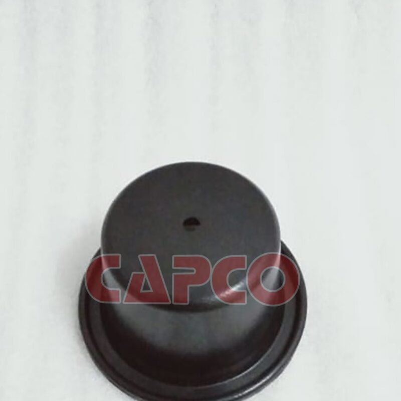 ROLLING DIAPHRAGM - 1613126807
