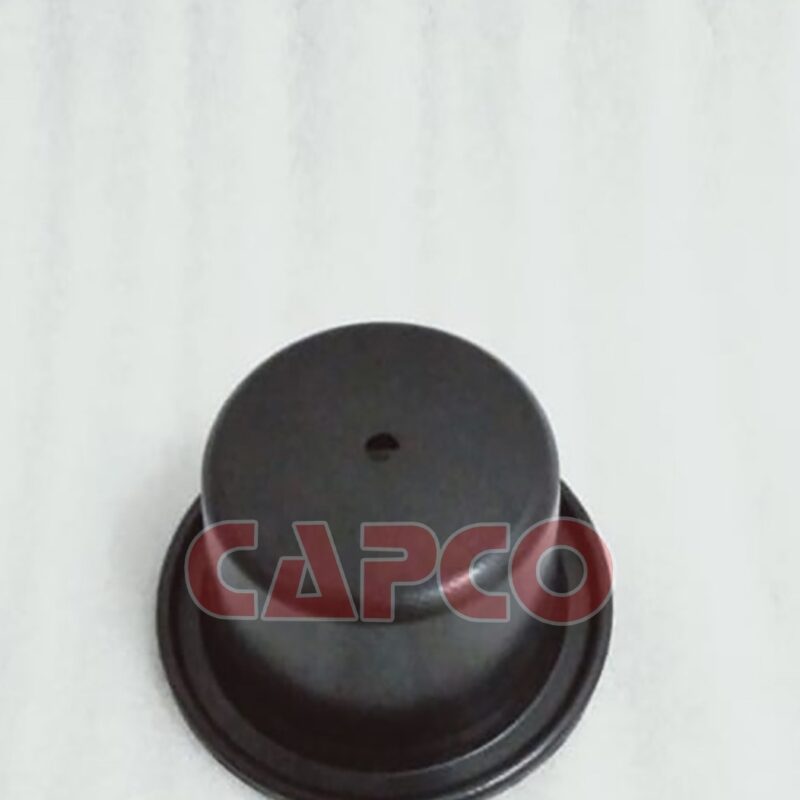 ROLLING DIAPHRAGM - 1613126812