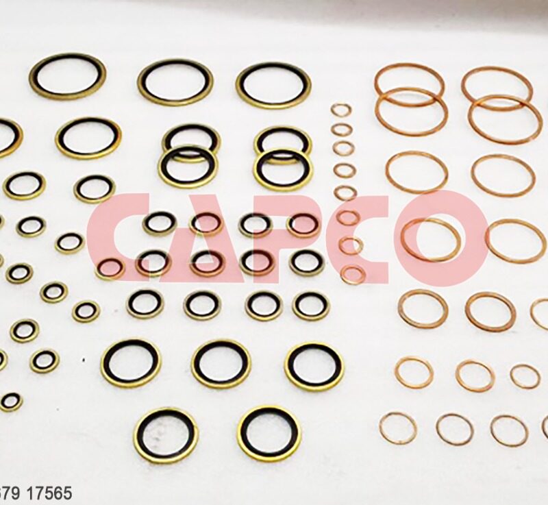 SEAL WASHER KIT - 2906043200