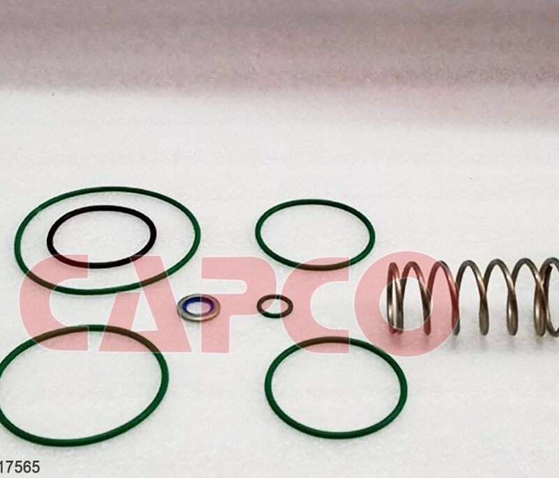 DRAIN VALVE KIT - 2901030100